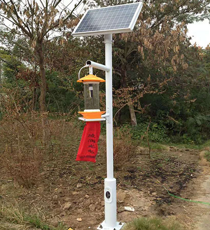 太陽能殺蟲燈